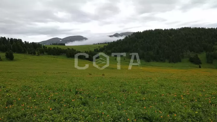 Счастливая десятка - фото 4