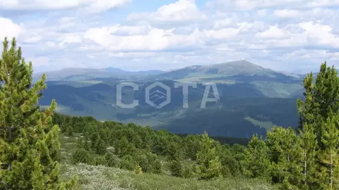 Чемал. Активная неделя. - фото 2