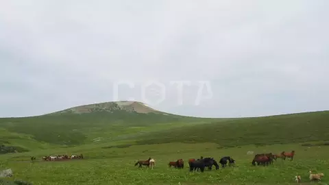 Семь мгновений лета - фото 4