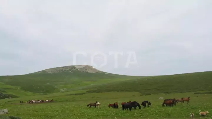 Семь мгновений лета - фото 3