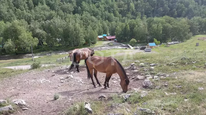 Счастливая десятка - фото 2