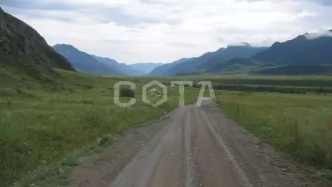 Чемал. Активная неделя. - фото 4
