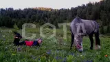 Прогулка с ветром + сплав - фото 1 (миниатюра)