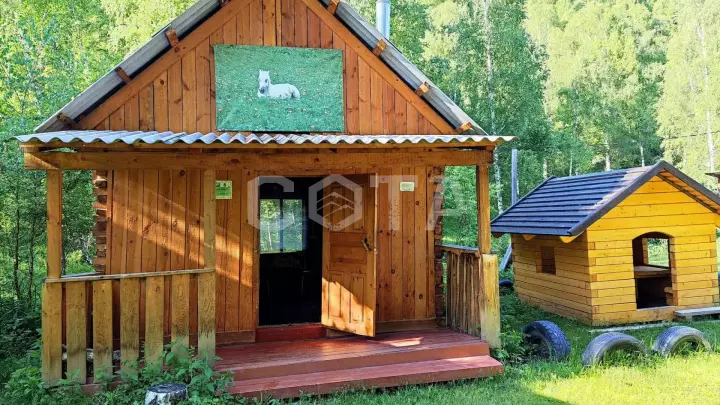 Пять дней в седле - фото 25