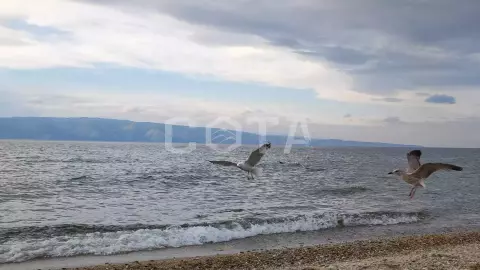 Тур "Сердце Ольхона" – окунись в сердце озера за 4 дня! - фото 5