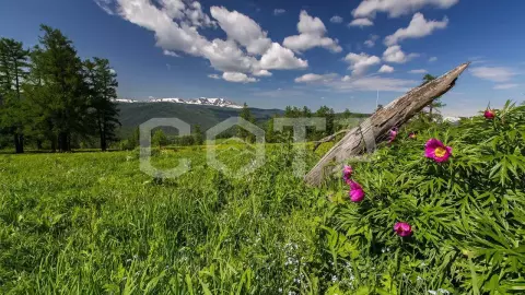 Белуха - сердце Азии - фото 4