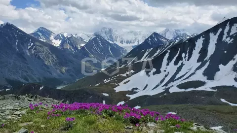 К подножью Белухи Ороктойской тропой - фото 1