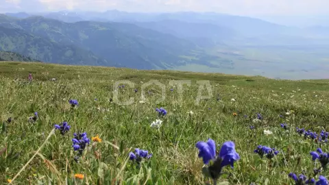 Башталинское плато: встреча заката и рассвета с видом на г. Белуха - фото 4