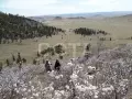 МЕРКИТСКАЯ КРЕПОСТЬ - фото 3 (миниатюра)