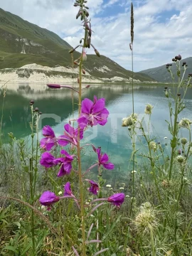 Ботлих-Кезеной Ам- однодневная экскурсия в Дагестан - фото 2