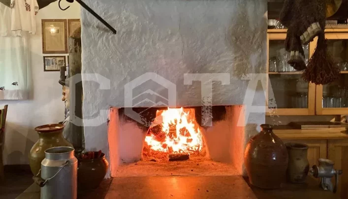 Алтай rest - фото 8