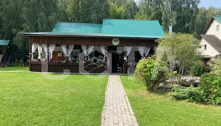 Алтай rest - фото 10