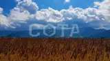 Места силы - фото 20 (миниатюра)