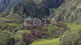 Весна на Алтае - фото 23 (миниатюра)