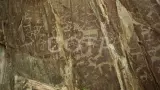Весна на Алтае - фото 25 (миниатюра)