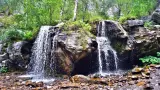 Алтайские пейзажи - фото 8 (миниатюра)