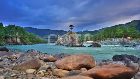 Весна на Алтае - фото 1