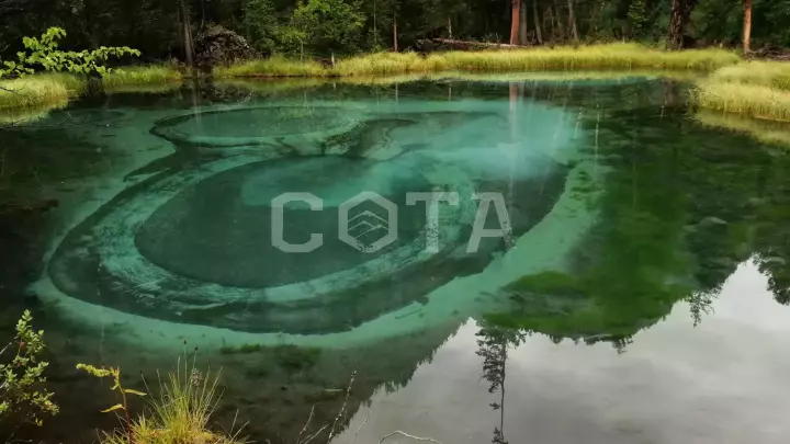 Весна на Алтае - фото 16