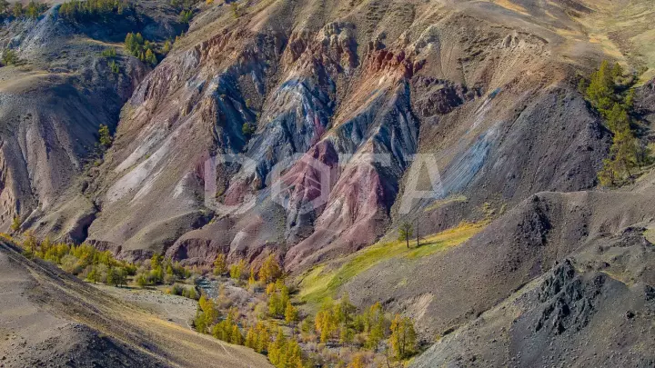 Алтайская Швейцария - фото 39