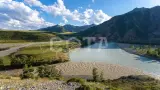 Весна на Алтае - фото 22 (миниатюра)