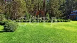 Алтайские пейзажи - фото 5 (миниатюра)