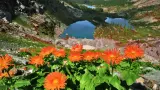 Алтайские пейзажи - фото 9 (миниатюра)