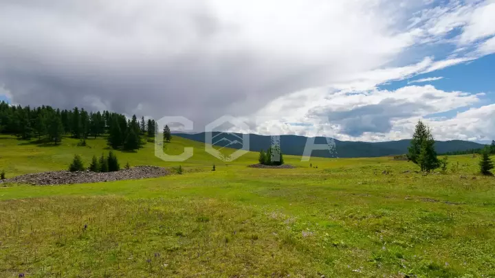 Весна на Алтае - фото 18