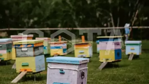 Свидание с Алтаем - фото 5