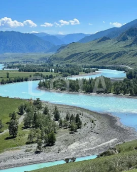 Тур Чуйский тракт, Кату-Ярык, Гейзерное на 3 дня - фото 5