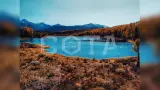 Золотые краски Алтая - фото 14 (миниатюра)