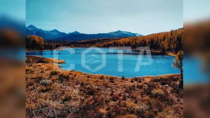 Золотые краски Алтая - фото 14