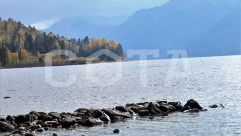Золотые горы Алтая - фото 4