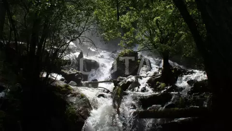 Голубые глаза Катуни - фото 4