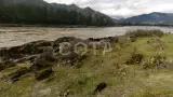 Путешествие Универсальный Алтай - фото 1 (миниатюра)