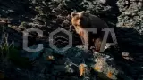 EXTREME - кругосветное путешествие по Алтаю - фото 1 (миниатюра)