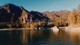 Золотые краски Алтая - фото 3 (миниатюра)