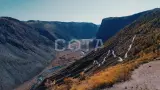 Золотые краски Алтая - фото 4 (миниатюра)