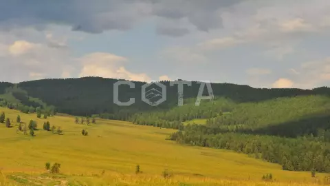 Золотые горы Алтая - фото 1