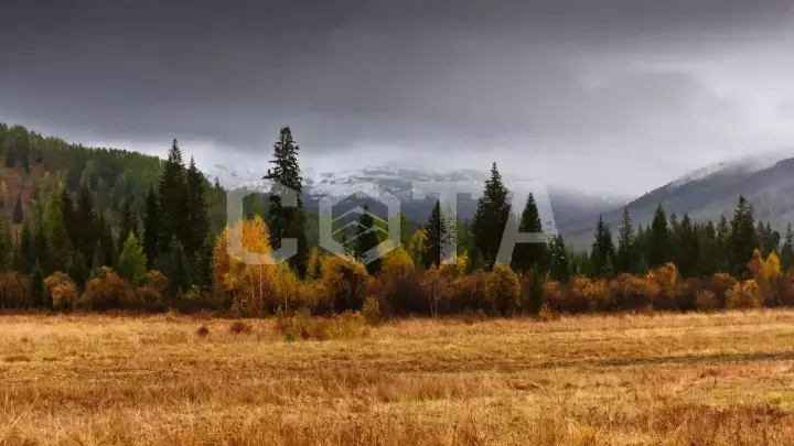 Золотые краски Алтая - фото 11
