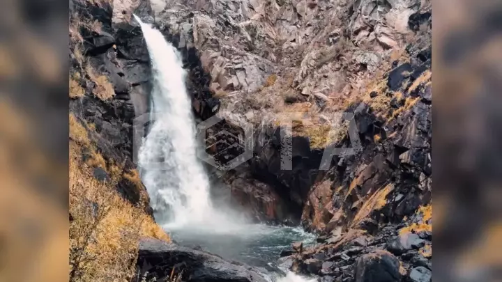 Золотые краски Алтая - фото 19