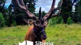 Алтайская Кругосветка - фото 6 (миниатюра)