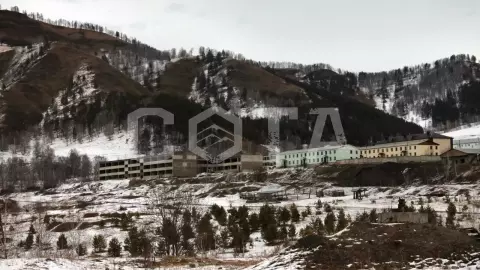 Джип-тур по Чуйскому тракту: Времена года - фото 2