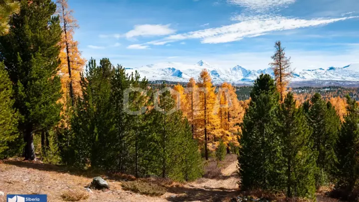 Джип-тур по Чуйскому тракту: Золотая осень на Алтае - фото 8