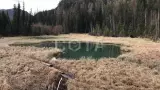 Алтайский марс и долина реки Чулышман: Весна на Алтае - фото 21 (миниатюра)