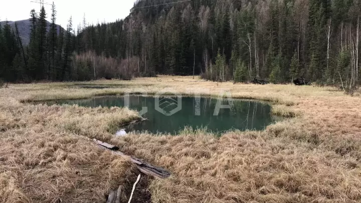 Алтайский марс и долина реки Чулышман: Весна на Алтае - фото 21