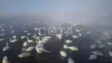 Джип-тур по Чуйскому тракту: Времена года - фото 9 (миниатюра)