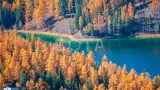 Джип-тур по Чуйскому тракту: Золотая осень на Алтае - фото 12 (миниатюра)