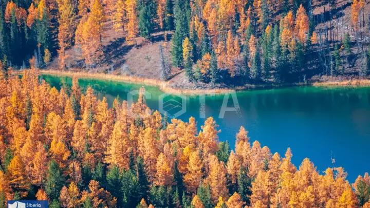 Джип-тур по Чуйскому тракту: Золотая осень на Алтае - фото 12