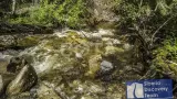 Джип-тур по Чуйскому тракту: Край озер и водопадов - фото 1 (миниатюра)