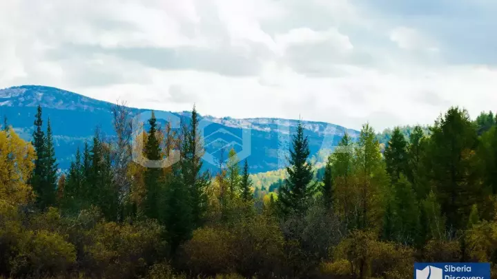 Джип-тур по Чуйскому тракту: Жара на Алтае - фото 6